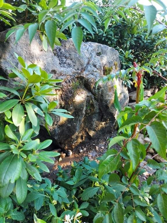 Trailfinders Himalayan Garden